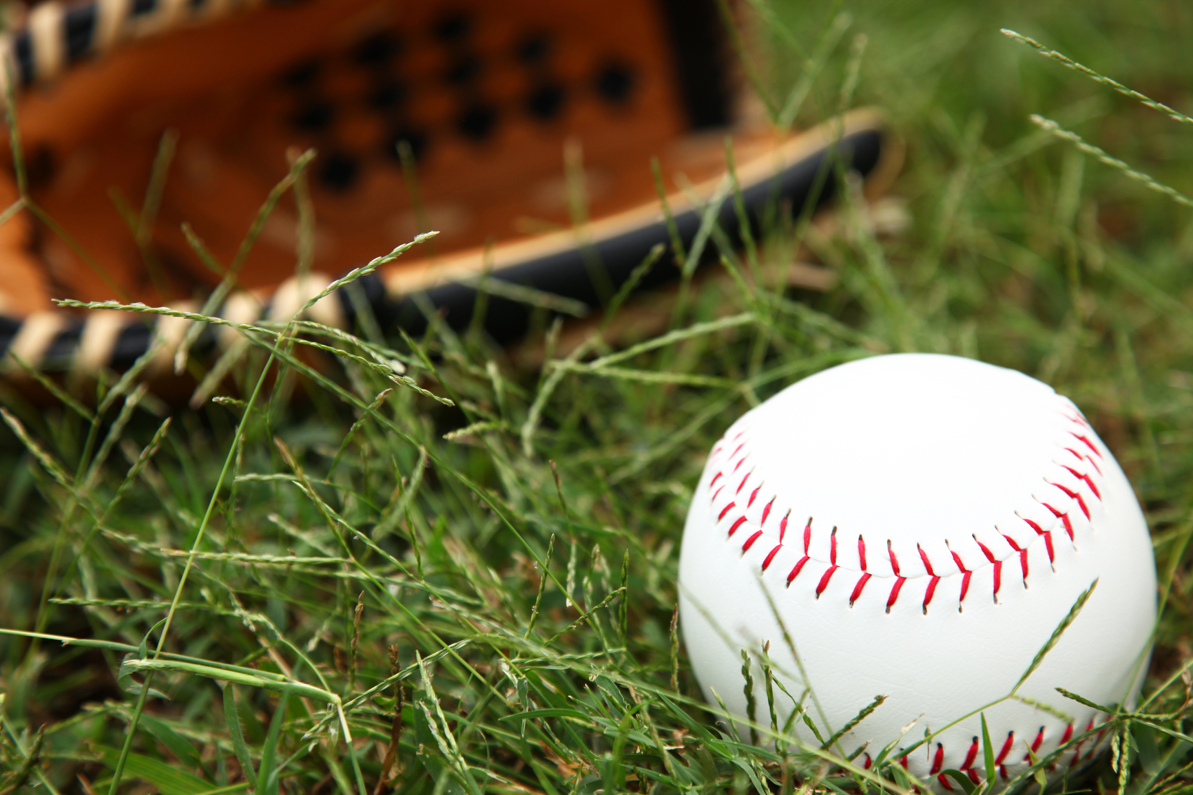 Closeup of Softball In Grass